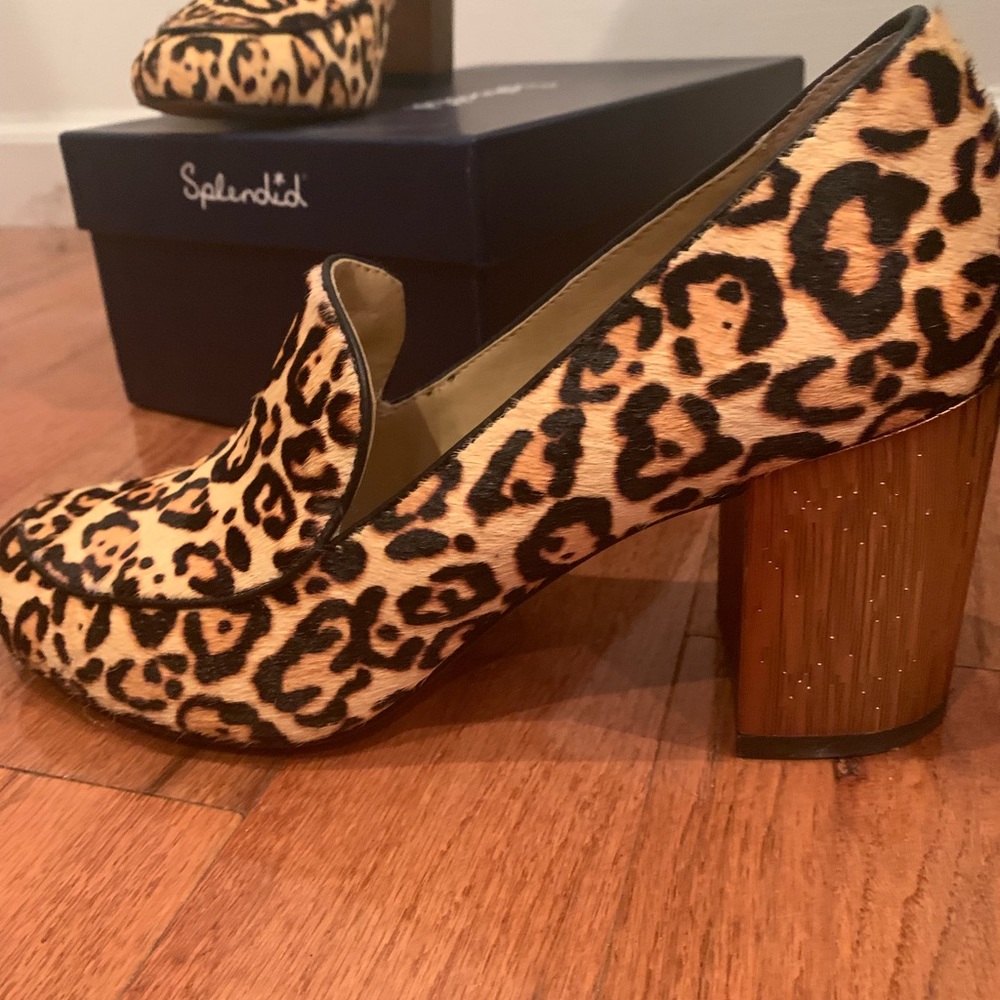 Splendid - Rosita III